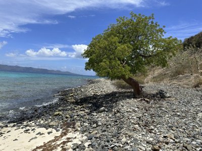 IMG_0408.jpeg