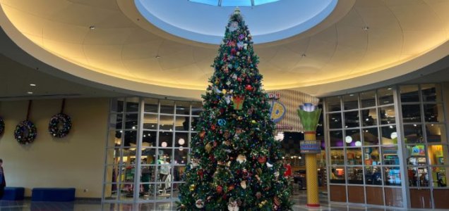 IMG_2891.jpeg