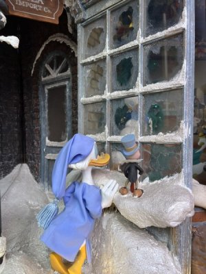 IMG_2911.jpeg