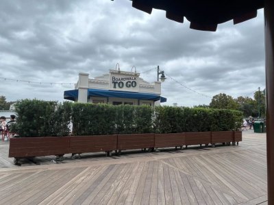 IMG_2933.jpeg
