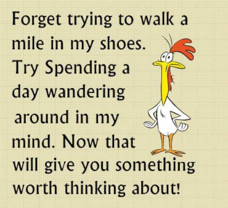 1700226723805.png