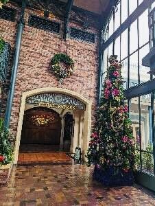 IMG_2946.jpeg