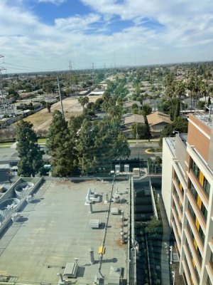 IMG_3833.jpeg
