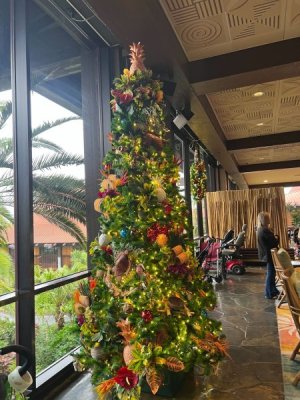 IMG_2992.jpeg