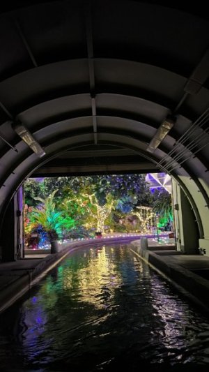 IMG_3020.jpeg