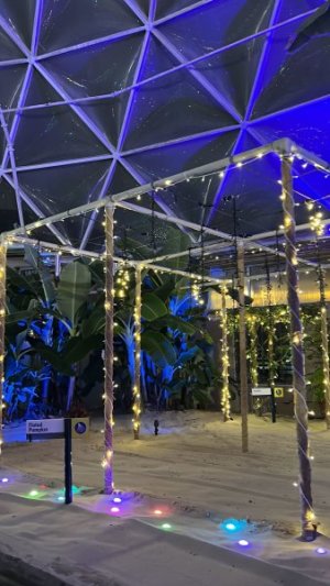 IMG_3022.jpeg