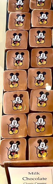 IMG_7218.jpeg