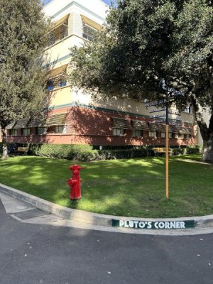 IMG_2706.jpeg