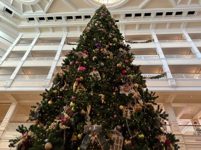 IMG_3059.jpeg