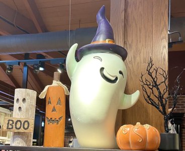 IMG_7303.jpeg