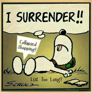 isurrender2.jpg