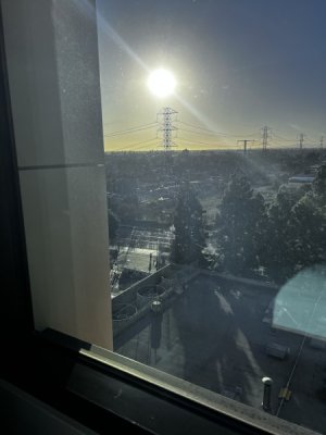 IMG_3636.jpeg