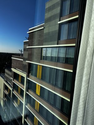 IMG_3637.jpeg