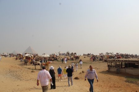 IMG_1584.JPG
