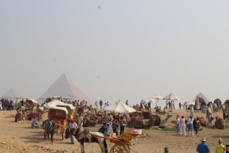 IMG_1585.JPG