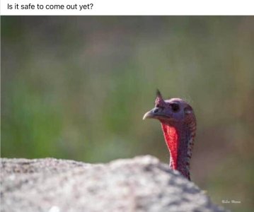 IMG_0405.jpeg