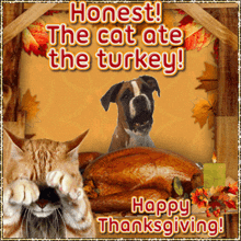 image000000.gif