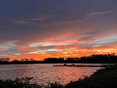 IMG_8319.jpeg