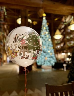 IMG_8287.jpeg