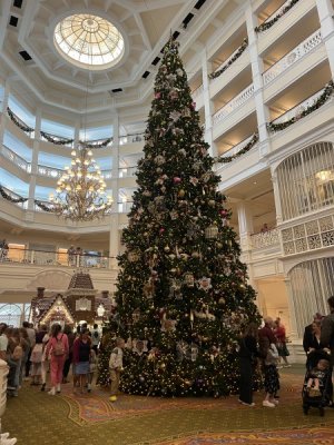 IMG_8358.jpeg