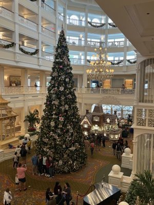 IMG_8362.jpeg