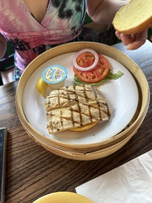 IMG_8405.jpeg