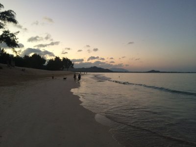 IMG_6275.jpeg