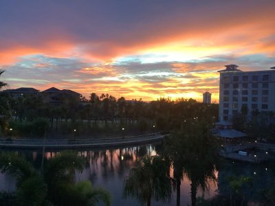 IMG_3032.jpeg