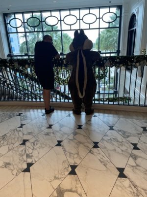IMG_2621.jpeg