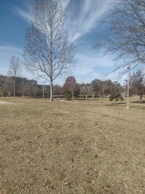 IMG_20231125_111738952_HDR.jpg