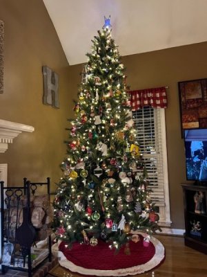 IMG_1292.jpg