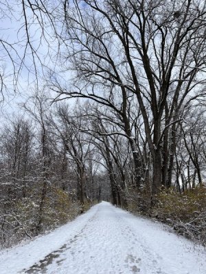 IMG_3113.jpeg