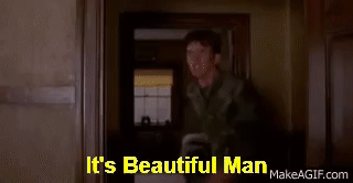 beauty.gif