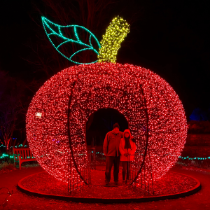 2F3B1A5E-6035-4BD4-AEDA-1348D54559F5.jpg