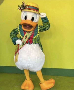 IMG_3133.jpeg