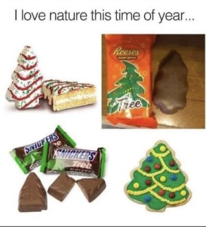 IMG_0376.jpeg