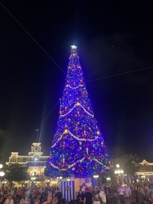 IMG_3470.jpeg