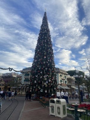 IMG_7199.jpeg