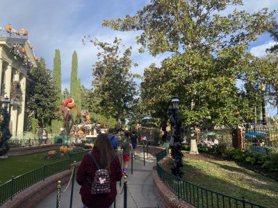 IMG_7211.jpeg