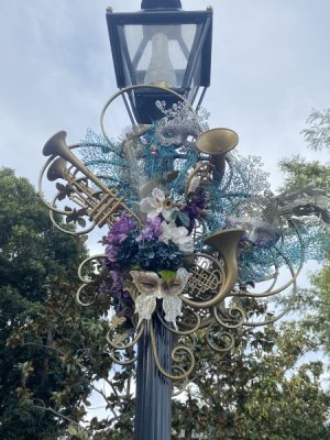 IMG_7239.jpeg