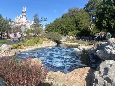 IMG_7242.jpeg
