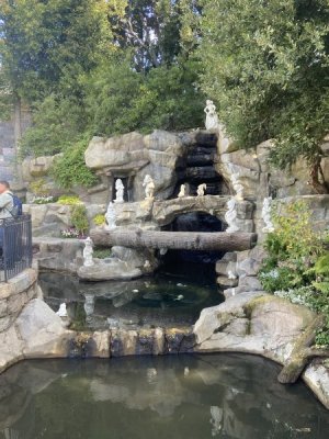 IMG_7243.jpeg