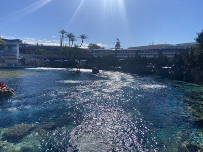 IMG_7248.jpeg