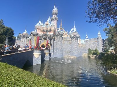 IMG_7249.jpeg