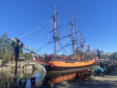 IMG_7255.jpeg