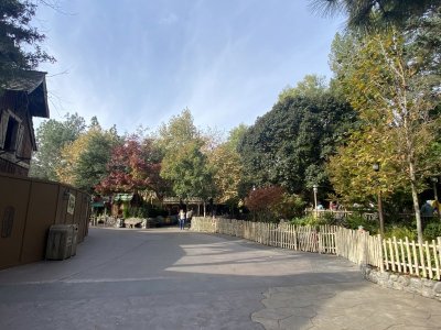 IMG_7304.jpeg