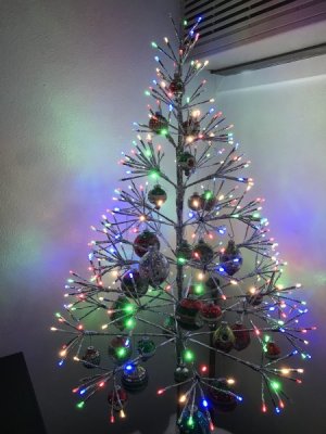 IMG_8513.jpeg