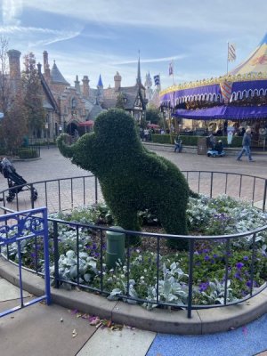 IMG_7296.jpeg