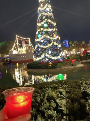 IMG_0884.jpeg
