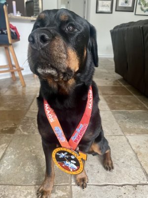 medal model.jpg